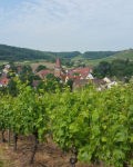 Zabergäu